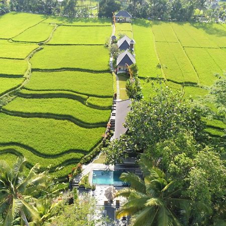 Puri Raya Villa Убуд Екстер'єр фото