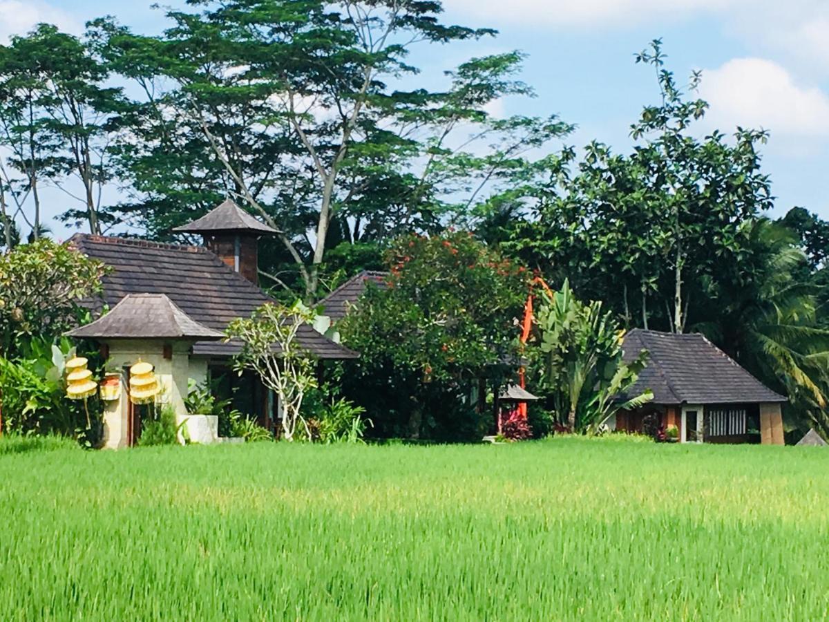 Puri Raya Villa Убуд Екстер'єр фото